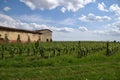 An old farmhouse and its vineyard in Franciacorta - Italy