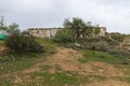 Old farmhouse in the middle of an almond field