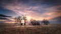 Old Farmhouse at Sunset in a Rural Setting Royalty Free Stock Photo