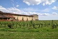 An old farmhouse surrounded by its vineyard in Franciacorta - Italy