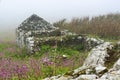 Old Farmstead Building Landscape On Skomer Island  Pembrokeshire South Wales