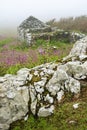 Old farmstead building landscape on Skomer Island  Pembrokeshire South Wales Royalty Free Stock Photo