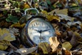 An old fashion alarm clock lies among the foliage on a sunny autumn day Royalty Free Stock Photo