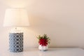 Old fashione table lamp and flower vase