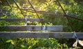 Old-fashioned agricultural greenhouse Royalty Free Stock Photo