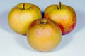 Three ripe Boskoop apples isolated on a gray background