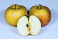 Three ripe Boskoop apples isolated on a gray background