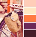 Old-fashioned bicycle. colour palette swatches. Retro vintage effect