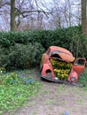 An Old Fashioned Car With Bright Yellow Tulips and surrounding flowers inside at Keukenhof Gardens in Holland