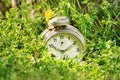 Old fashioned clock on a meadow