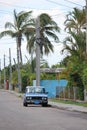 Old fashioned Cuban Car trough palms