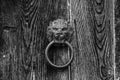 Old-fashioned door knocker in shape of a lion head somewhere on a door in downtown Matera, Southern Italy Royalty Free Stock Photo