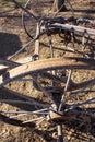 Old fashioned rusty metal farm agricultural machinery Royalty Free Stock Photo