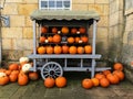 An old-fashioned farmers market stall with pumpkins for sale at Halloween Royalty Free Stock Photo