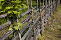 An old-fashioned fence from Vasterbotten Royalty Free Stock Photo