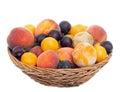 Old fashioned fruit from a long abandoned orchard in old wicker basket, bowl. Tiny plums, small, sweet peaches etc Royalty Free Stock Photo