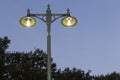 Old fashioned lamppost at dusk Royalty Free Stock Photo