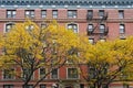Old fashioned New York apartment building with ornate window frames Royalty Free Stock Photo