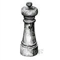 An old-fashioned pepper mill illustrated in black and white ink Royalty Free Stock Photo