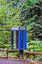 Phone Booth in the Woods Royalty Free Stock Photo