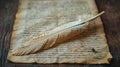 Old-Fashioned Quill Pen Resting on a Dusty Manuscript The pen blurs into the text Royalty Free Stock Photo