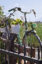 Old-fashioned retro bikes with flowerpots