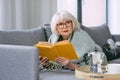 Old fashioned senior woman laying on the couch reading a book. Royalty Free Stock Photo