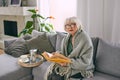 Old fashioned senior woman sitting on the couch reading a book at home. Royalty Free Stock Photo