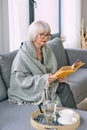 Old fashioned senior woman sitting on the couch reading a book at home. Royalty Free Stock Photo