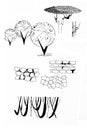 Old fashioned stylization trees and wall drawing ink lineart