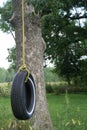Old Fashioned Tire Swing near a Tree Royalty Free Stock Photo