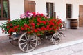 Old-fashioned trolley with geranuim Royalty Free Stock Photo