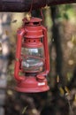 Old fashioned vintage oil lantern lamp hanging on a branch Royalty Free Stock Photo