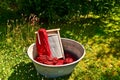 An old fashioned washing trougth filled with dyed and washed strings and ropes of red wool