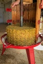 An old fashioned wooden barrel shaped grape press with the side removed and the pulp from the pressed grapes