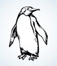 Penguin on the ice. Vector drawing