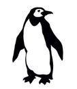 Penguin on the ice. Vector drawing