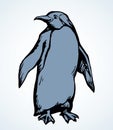 Penguin on the ice. Vector drawing