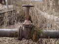 Old faucet overgrown with moss on an old rusty plumbing.