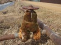 Old faucet overgrown with moss on an old rusty plumbing.