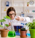 Old female biotechnology chemist working in the lab Royalty Free Stock Photo