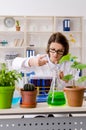 The old female biotechnology chemist working in the lab Royalty Free Stock Photo
