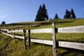 Old fence