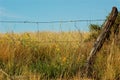 Old Fence