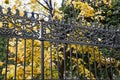 An old fence with decorative elements from the times of the Russian Empire