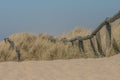 Old fence in the dunes of the North sea Royalty Free Stock Photo