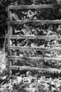 The old fence in Harz b&w detail