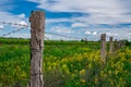 An old fence made of damaged concrete posts connected by rusty barbed wire against a peaceful green meadow and a blue sky with a Royalty Free Stock Photo