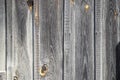 Old fence made of dried and cracked gray wooden panels with multiple knots and rusty nails as a background