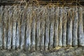 Old fence made of logs Royalty Free Stock Photo